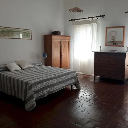 Macci 39