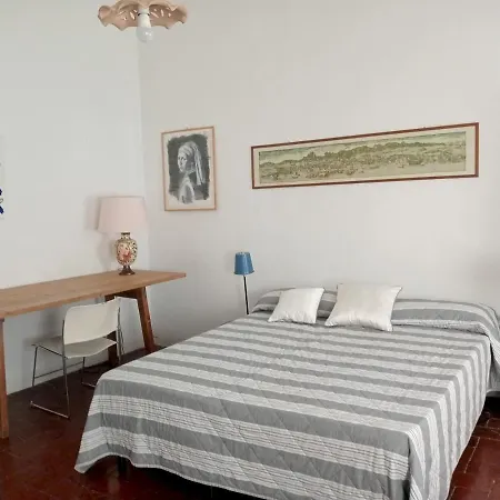 Macci 39